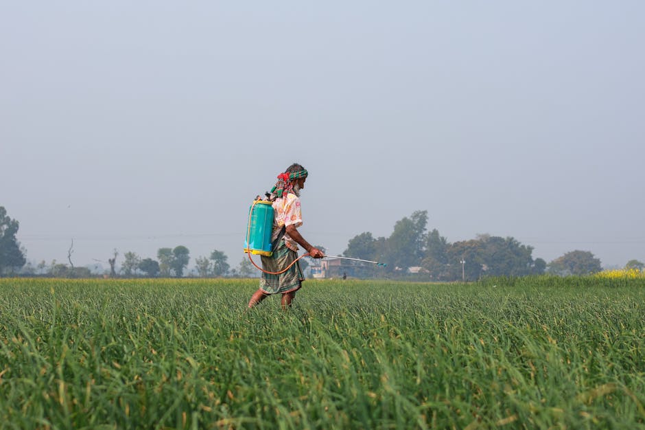 Is Roundup Actually Safe? The Science Explained