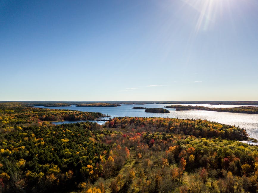 The Hidden Side of Jake Oettinger You’ve Never Heard About