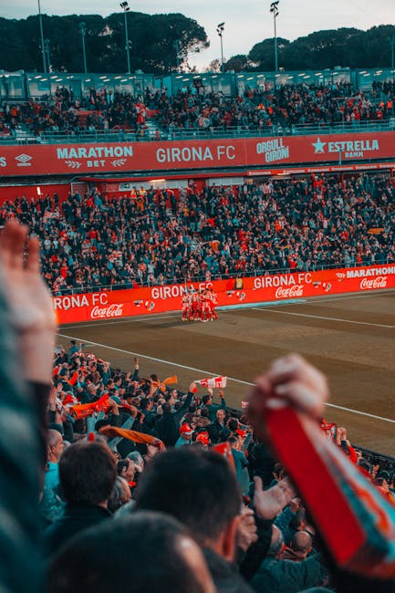 What’s ReallyDriving the 2024/25 Liga Portugal Surge?