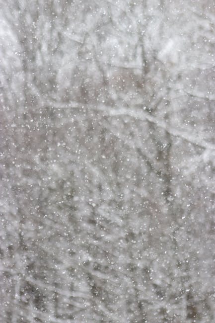 How Snowfall Impacts Your Everyday Life – Tips to Stay Safe and Save Money