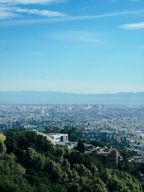 UC Berkeley Application Guide: The Honest Truth About Admissions and Campus Life