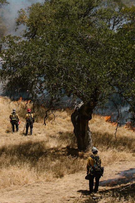 California Wildfires 2025: The Hidden Truth About Fire Season