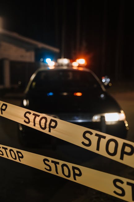 What If Crime Was a Mirror?