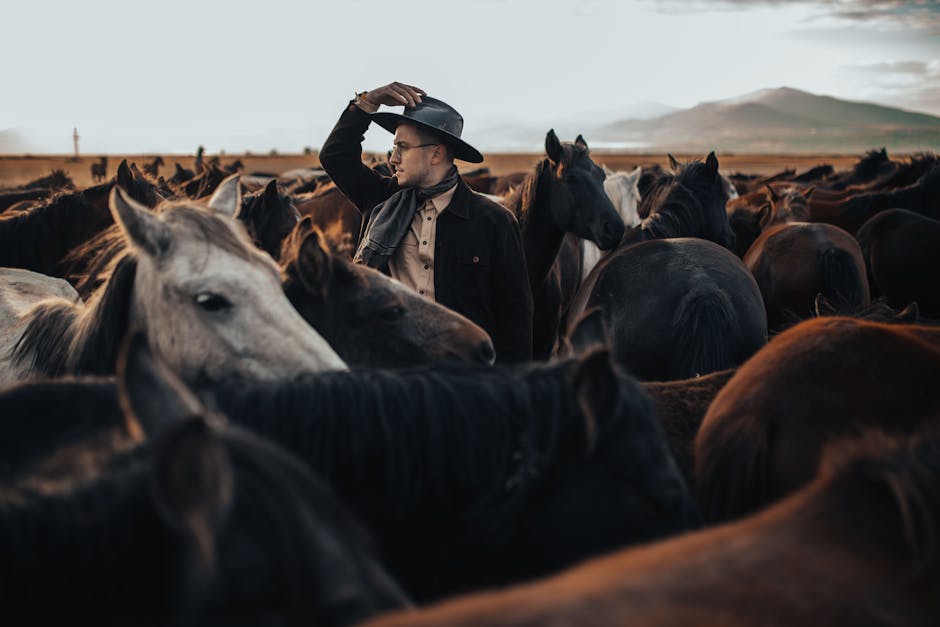 When WillDutton Ranch Finally Hit the Screens? The Release Date You’ve Been Waiting For