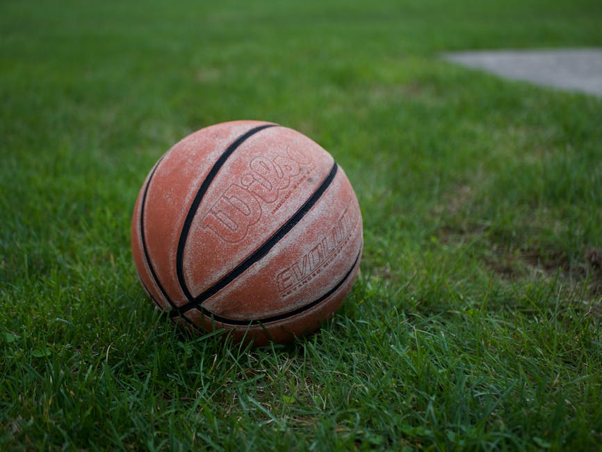 Knicks Season Guide: Tickets, Roster, and What to Expect