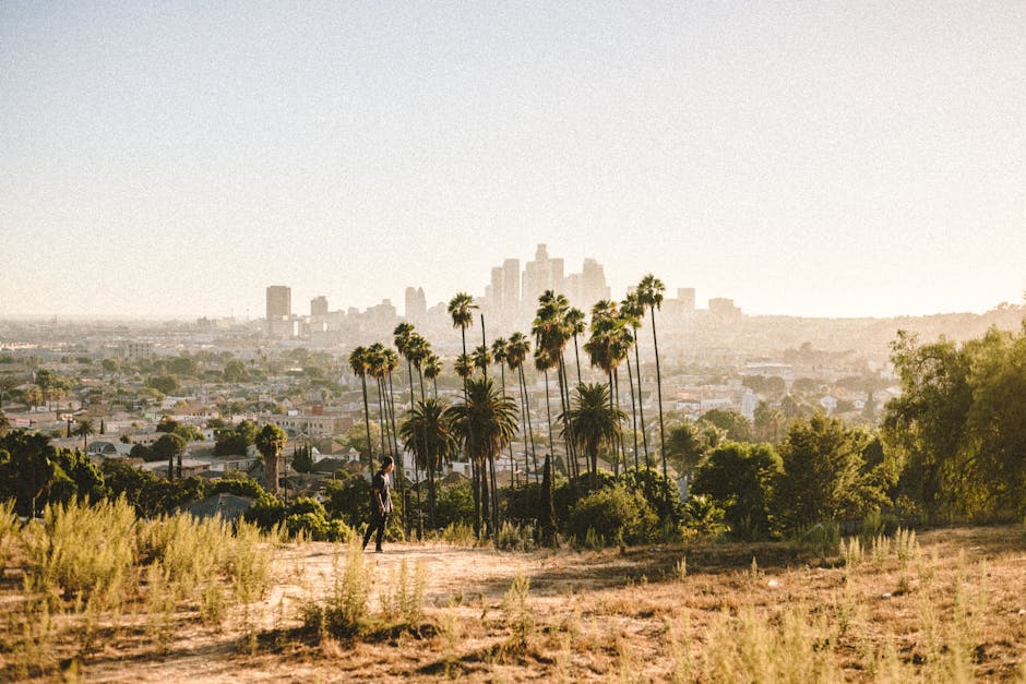 How to Experience La Brea’s Hidden Gems in One Day