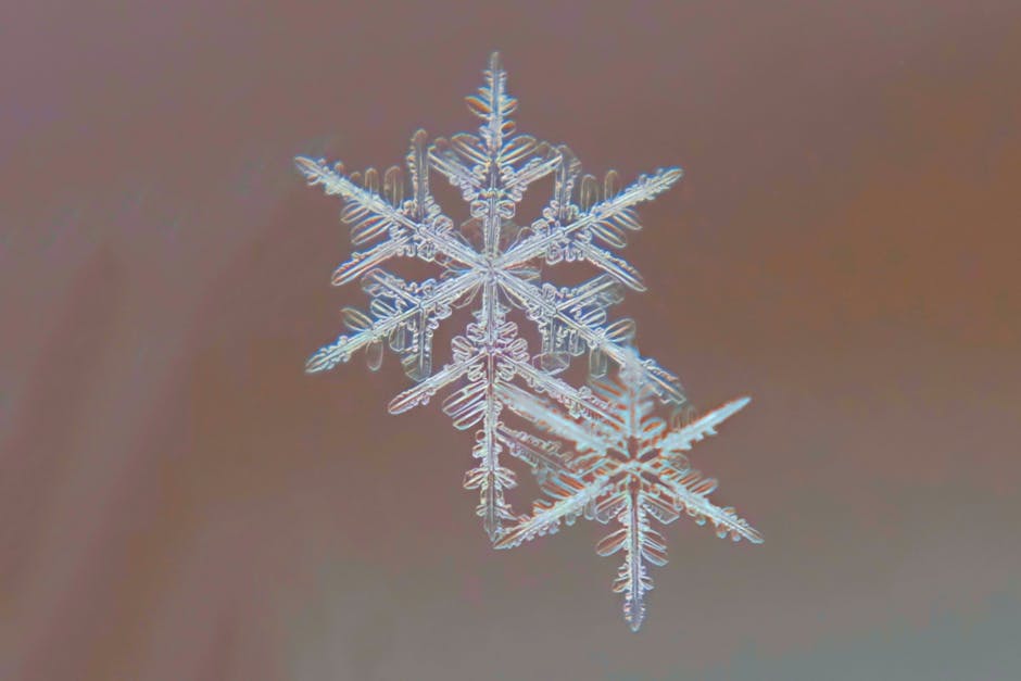 Stop Wasting Money: Why Snowflake Might Be Cheaper Than You Think