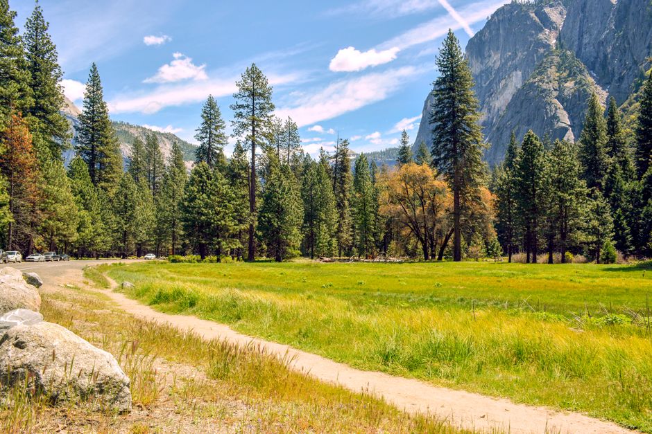 California State Parks Pass: The Truth About Is It Worth It?