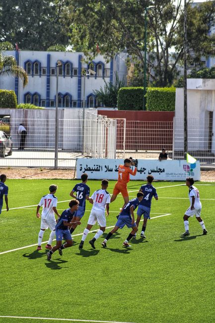 Análisis Táctico: Formaciones y Posiciones de Jordania vs Argelia