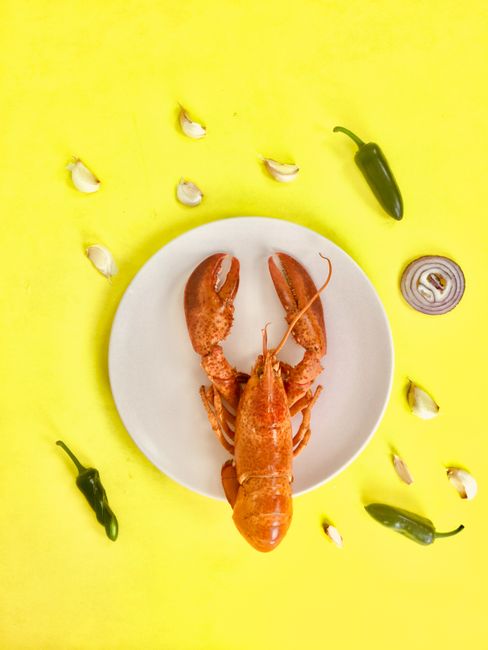 How Red Lobster AI is Fixing Their Broken Business